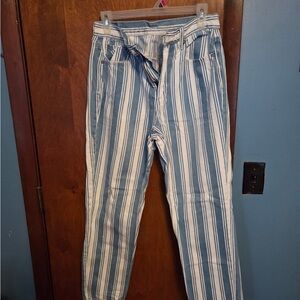 American Eagle Outfitters Light Blue and White Striped Pants